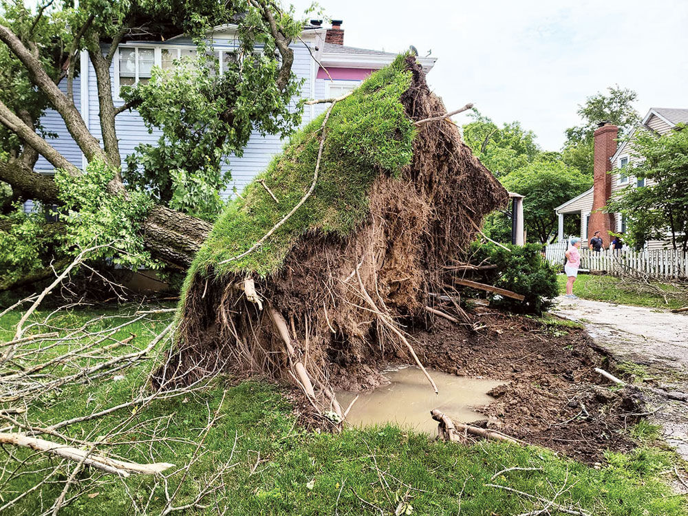 storm1.jpg